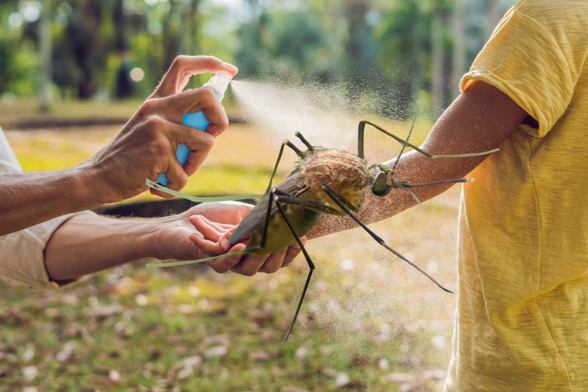 Se vivete in una di queste Regioni, sarete invasi dalle zanzare: lo dicono gli esperti